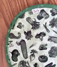 Load image into Gallery viewer, Tortilla Warmer- Green